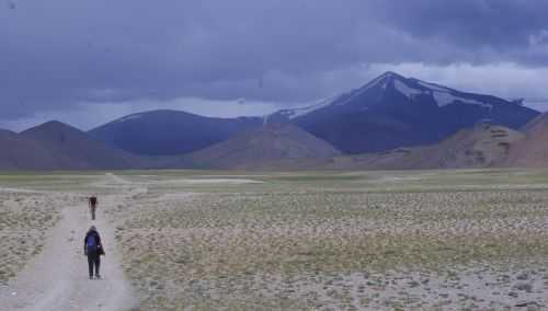 TREKKING IN LADAKH | CHANGTANG 2017